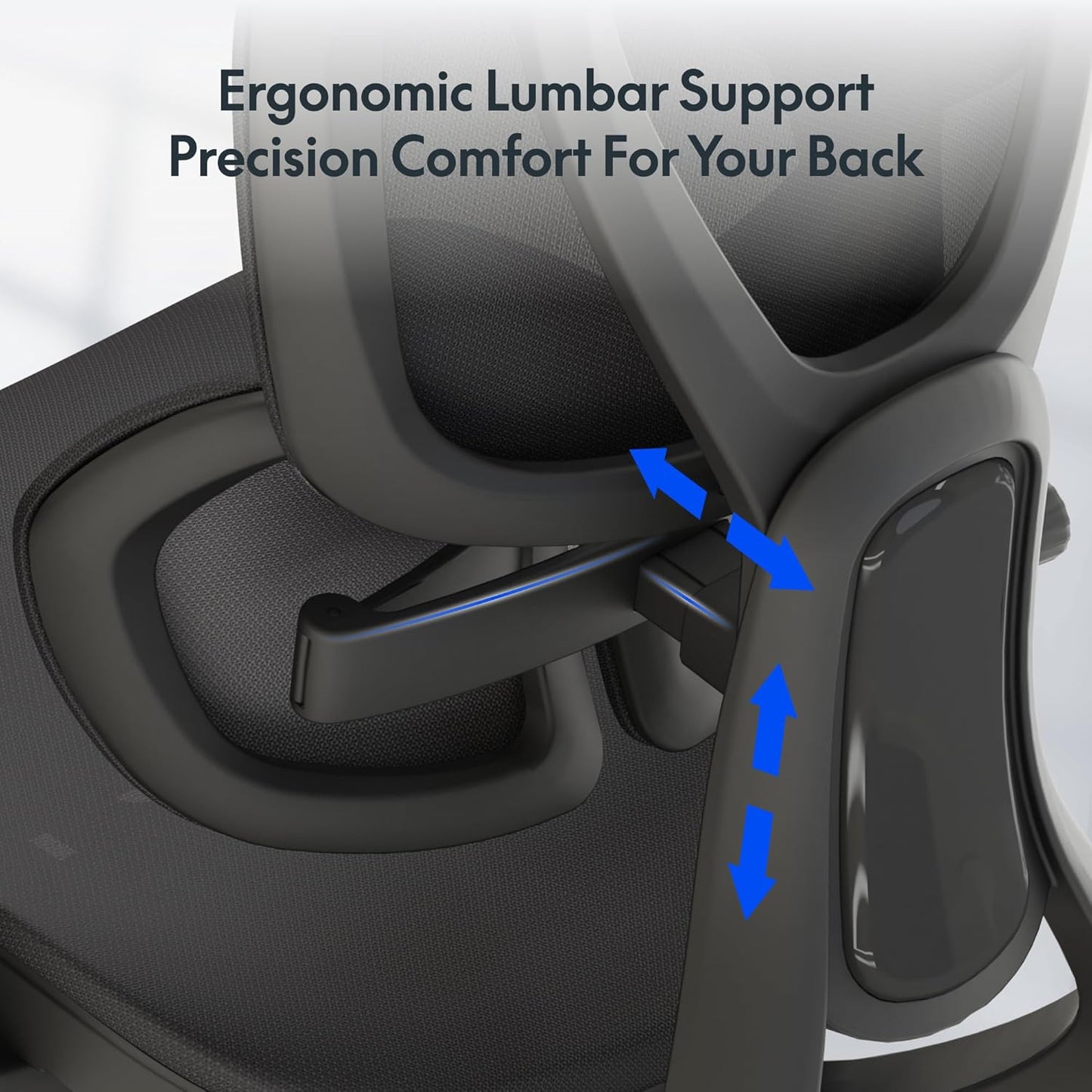 FLEXISPOT ErgoX Max chaise bureau ergonomique, lombaire, appui 3D, noir