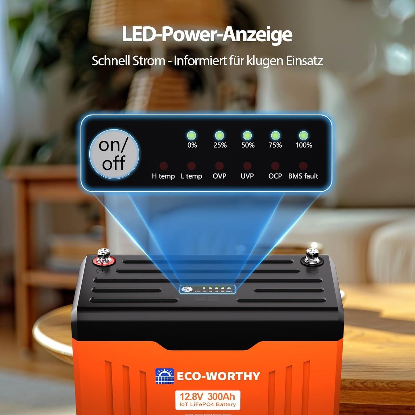 ECO-WORTHY batterie lithium 12V 300Ah LiFePO4, écran, 200A BMS, Bluetooth
