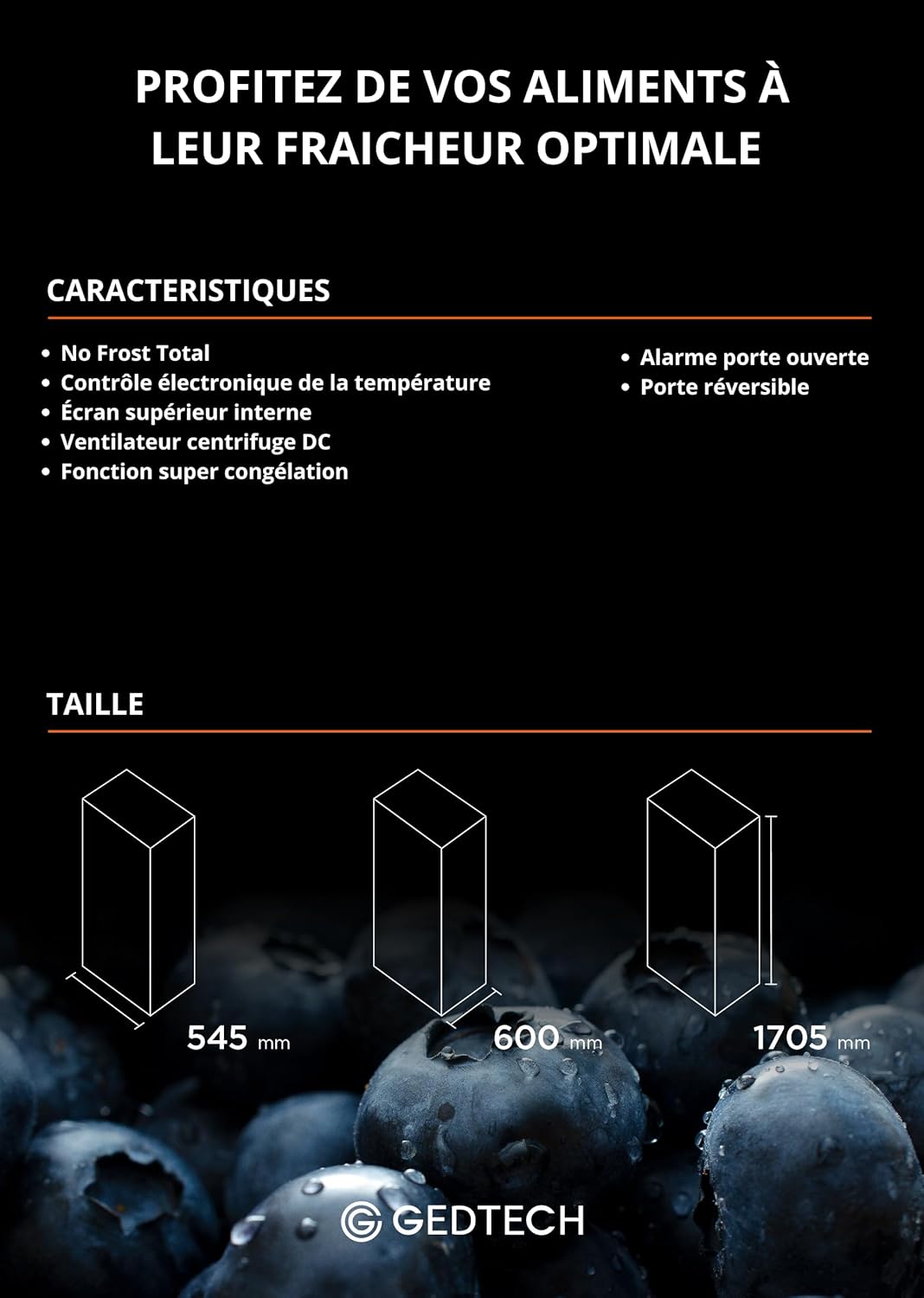 GEDTECH congélateur armoire No Frost 224L GCO224NFWH blanc
