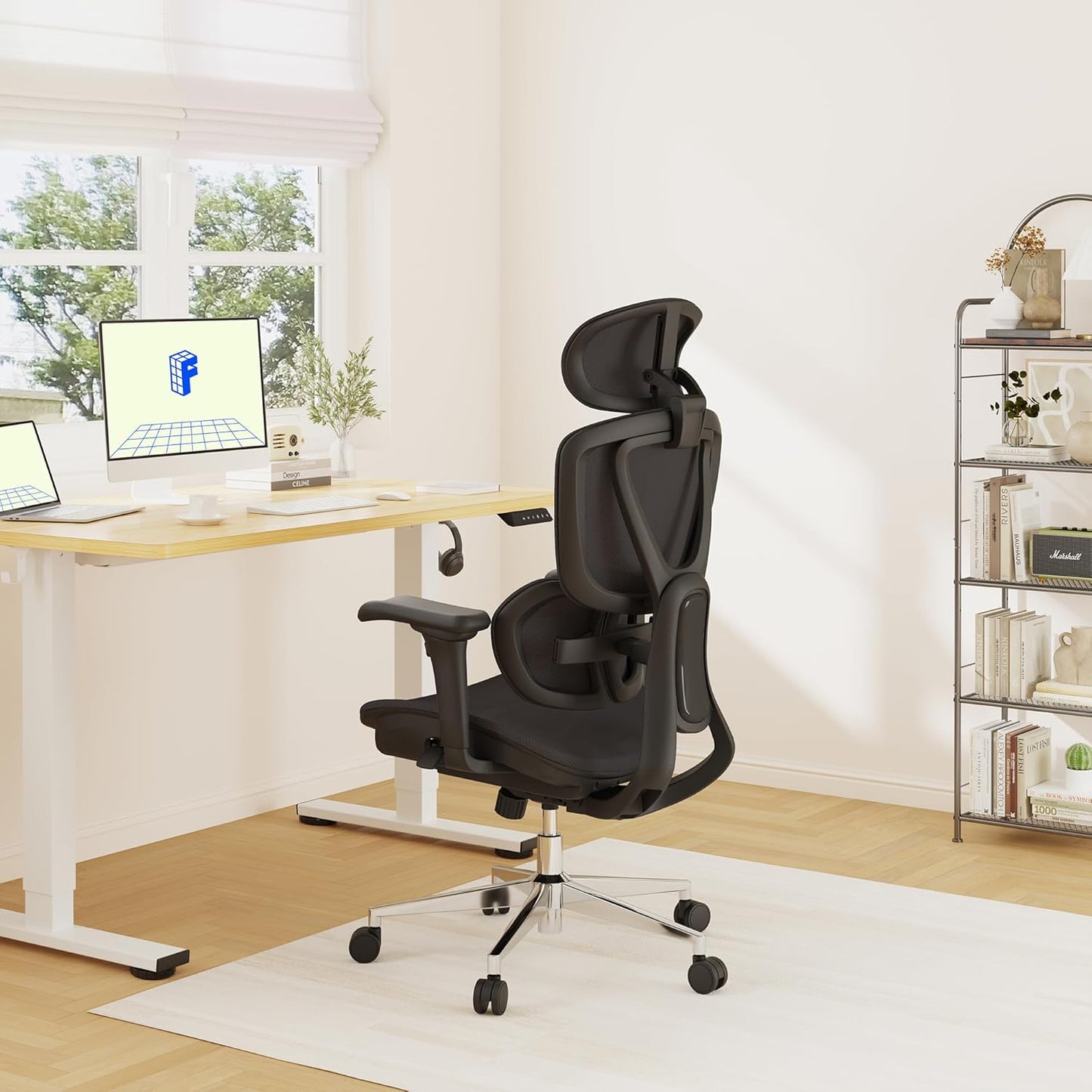 FLEXISPOT ErgoX Max chaise bureau ergonomique, lombaire, appui 3D, noir
