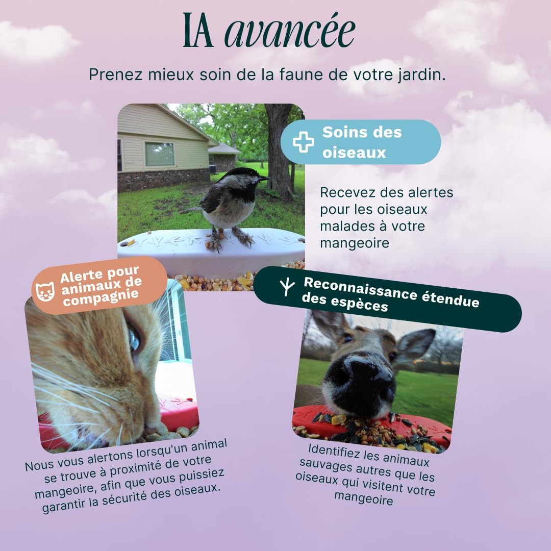 Bird Buddy Pro mangeoire intelligente solaire, IA, caméra 2K, photos 5MP, bleu