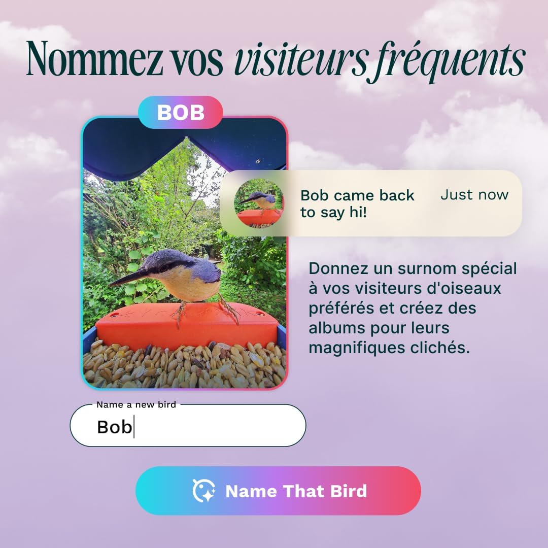 Bird Buddy Pro mangeoire intelligente solaire, IA, caméra 2K, photos 5MP, bleu