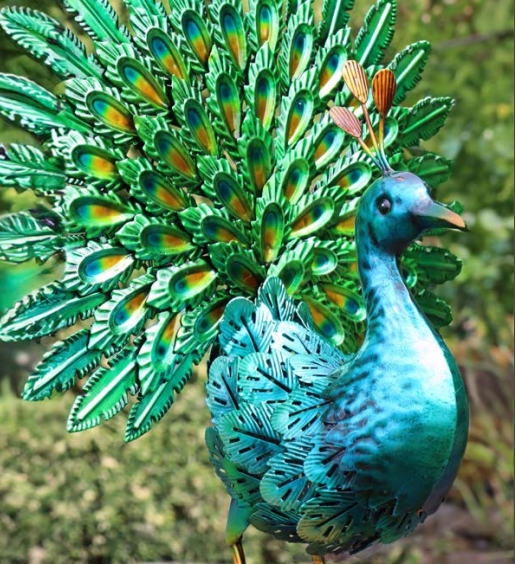 Paon à queue d'éventail émeraude vibrant