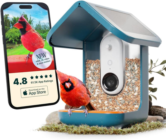 Bird Buddy Pro mangeoire intelligente solaire, IA, caméra 2K, photos 5MP, bleu