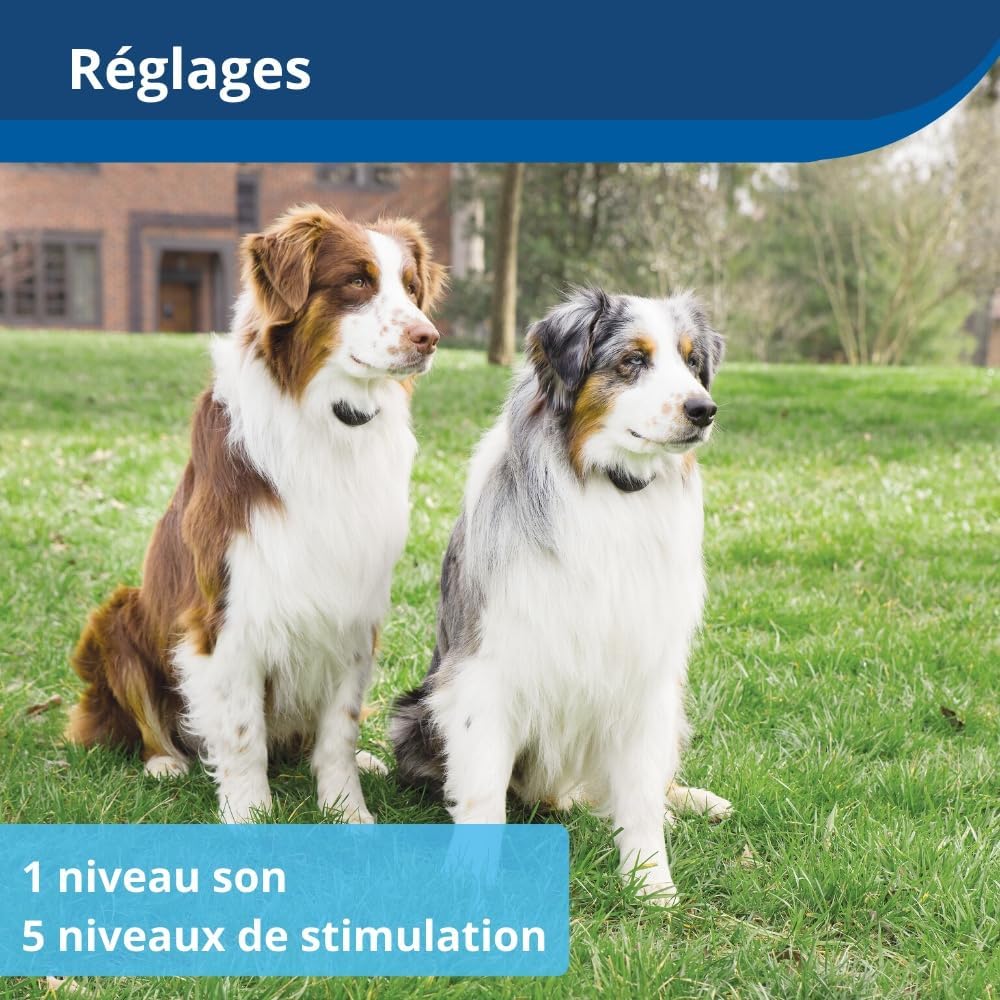 PetSafe clôture anti-fugue sans fil Stay & Play, 3000m², collier rechargeable