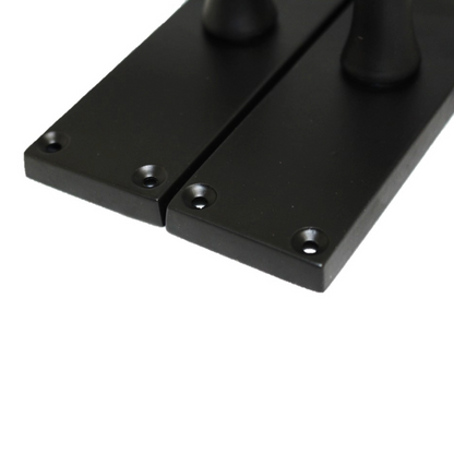 Poignées de porte à levier à défilement et loquet interne - Noir mat 118 x 40 mm