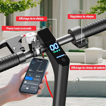 TODIMART T3 trottinette électrique 350W/35km, pneus nid d'abeille, charge 120kg