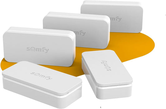 Somfy 2401488 pack 5 IntelliTAG, détection vibration avant ouverture, Home Alarm