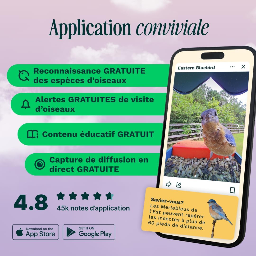 Bird Buddy Pro mangeoire intelligente solaire, IA, caméra 2K, photos 5MP, bleu