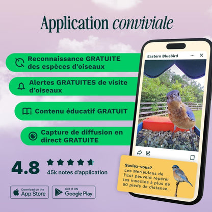 Bird Buddy Pro mangeoire intelligente solaire, IA, caméra 2K, photos 5MP, bleu