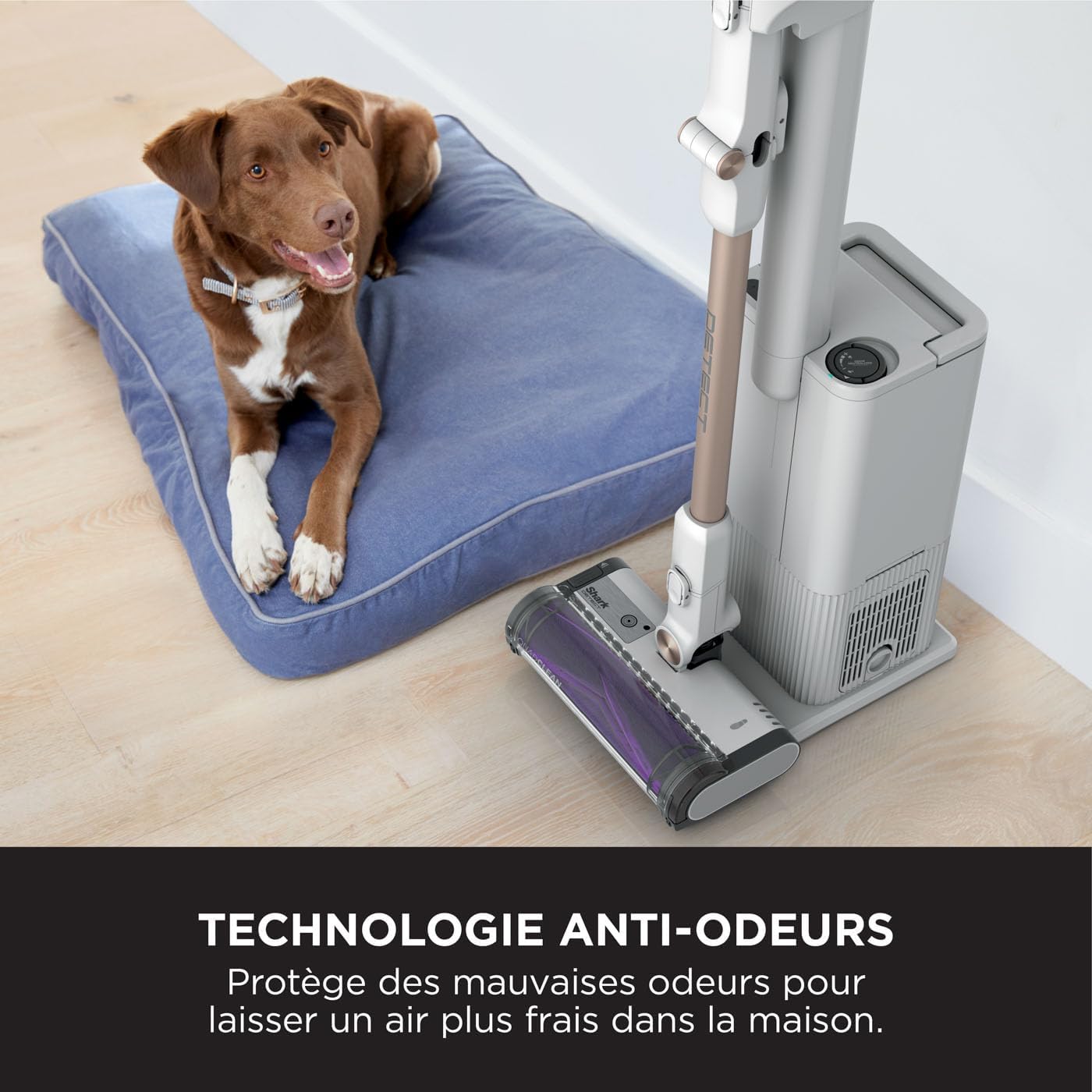 Shark IW3612EU aspirateur balai base 2L, 60min, saleté détectée, sans enchevêtrement