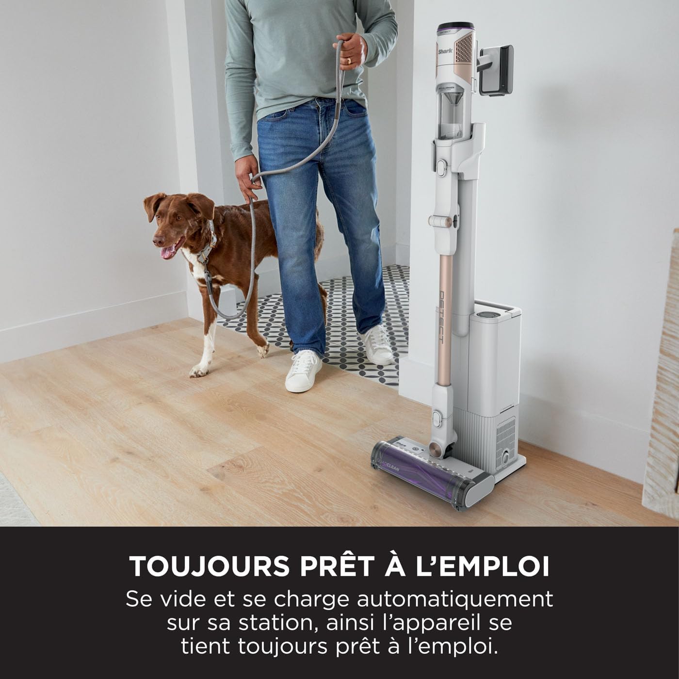 Shark IW3612EU aspirateur balai base 2L, 60min, saleté détectée, sans enchevêtrement