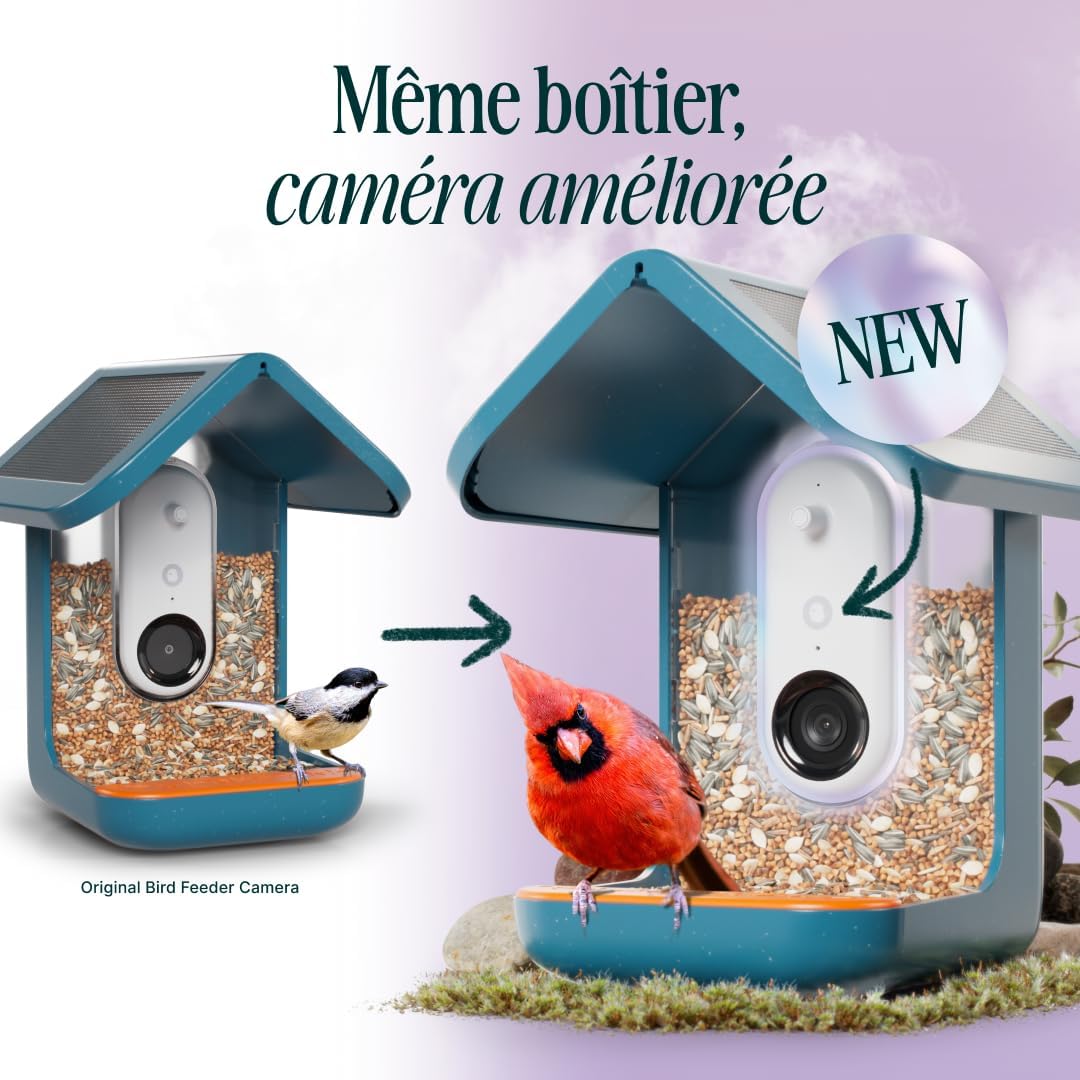 Bird Buddy Pro mangeoire intelligente solaire, IA, caméra 2K, photos 5MP, bleu