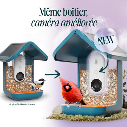 Bird Buddy Pro mangeoire intelligente solaire, IA, caméra 2K, photos 5MP, bleu