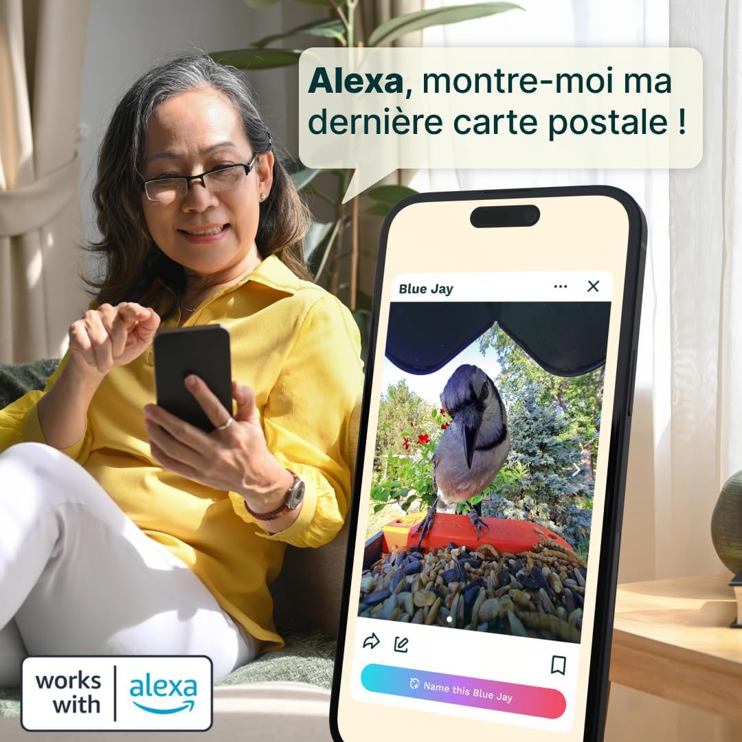 Bird Buddy Pro mangeoire intelligente solaire, IA, caméra 2K, photos 5MP, bleu