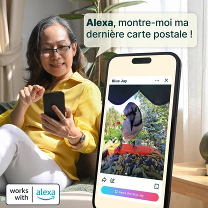 Bird Buddy Pro mangeoire intelligente solaire, IA, caméra 2K, photos 5MP, bleu