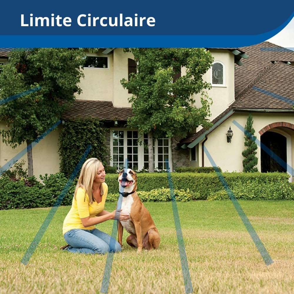 PetSafe clôture anti-fugue sans fil Stay & Play, 3000m², collier rechargeable