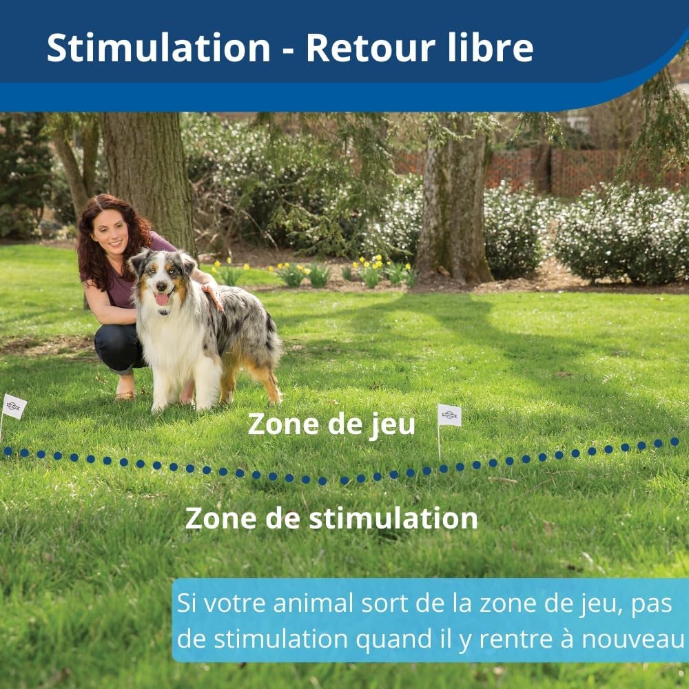 PetSafe clôture anti-fugue sans fil Stay & Play, 3000m², collier rechargeable