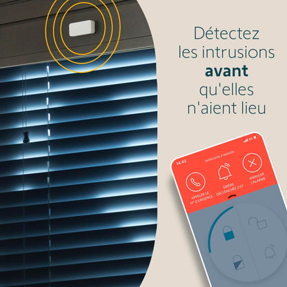 Somfy 2401488 pack 5 IntelliTAG, détection vibration avant ouverture, Home Alarm