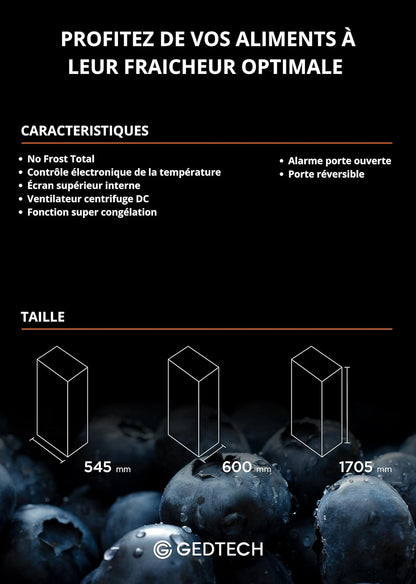 GEDTECH congélateur armoire No Frost 224L GCO224NFWH blanc