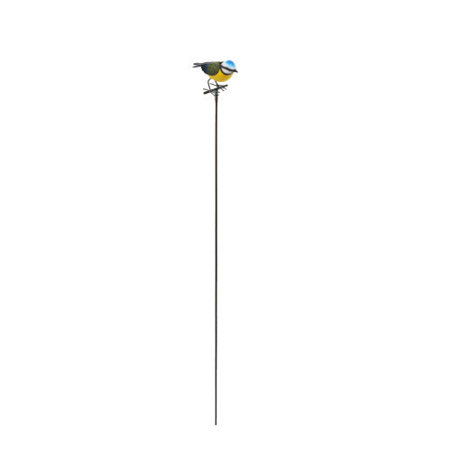 Grande mésange bleue métallique sur piquet