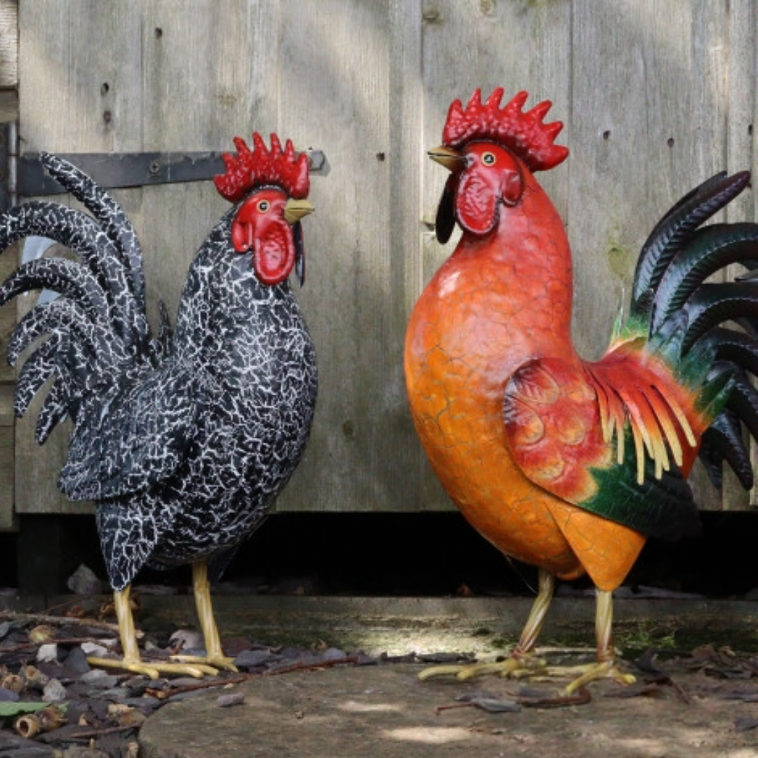 Sculpture de jardin en métal représentant un coq rouge, noir et blanc - Décoration d'extérieur réaliste pour cour de ferme