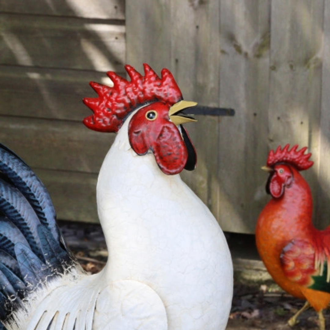 Sculpture de jardin en métal représentant un coq rouge, noir et blanc - Décoration d'extérieur réaliste pour cour de ferme