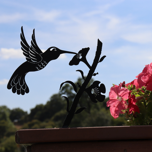 Support de branche en métal noir pour colibri, silhouette, décoration à monter sur un arbre ou une clôture